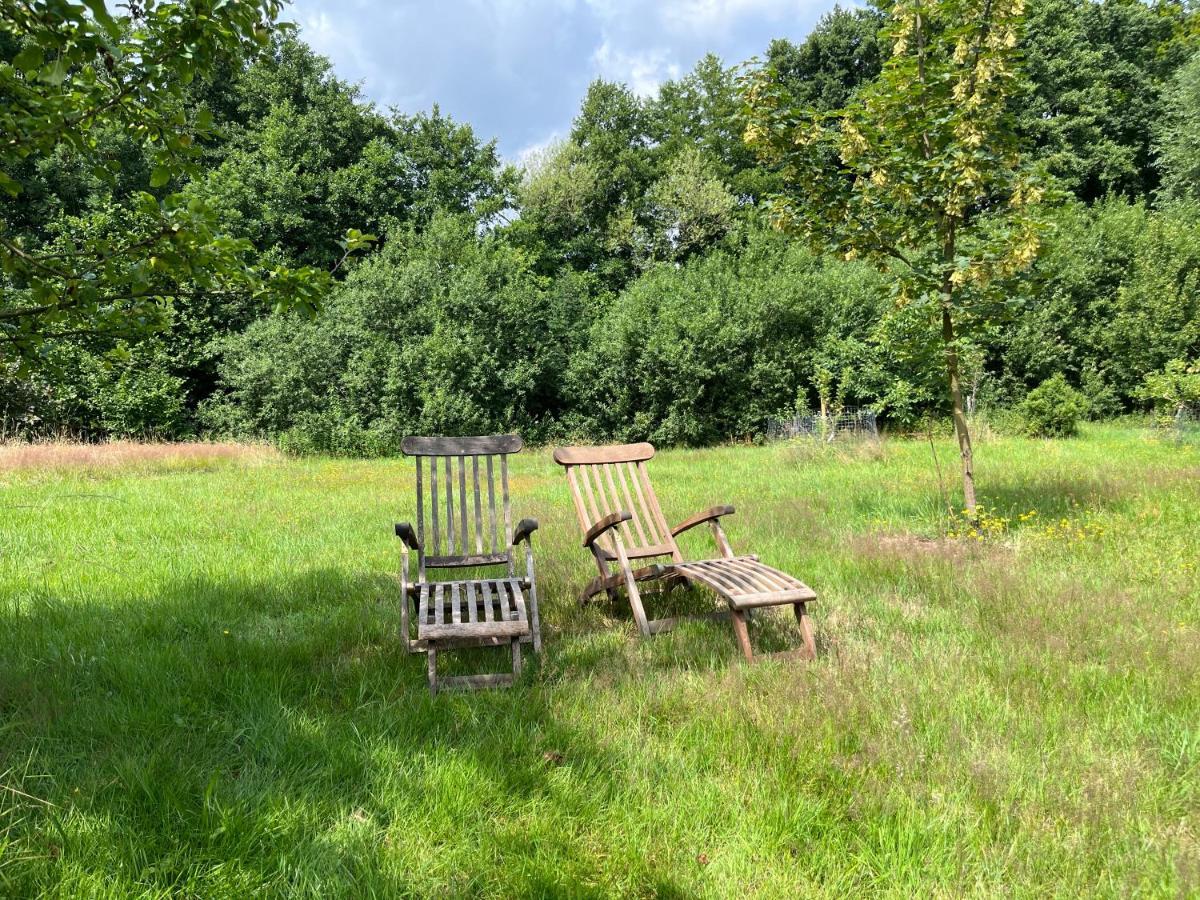 Apartment Gruen In Gruen Detmold
